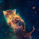 Illustration for article titled My God, Its Full Of Cats! The Very Best Artwork Of Cats In Space